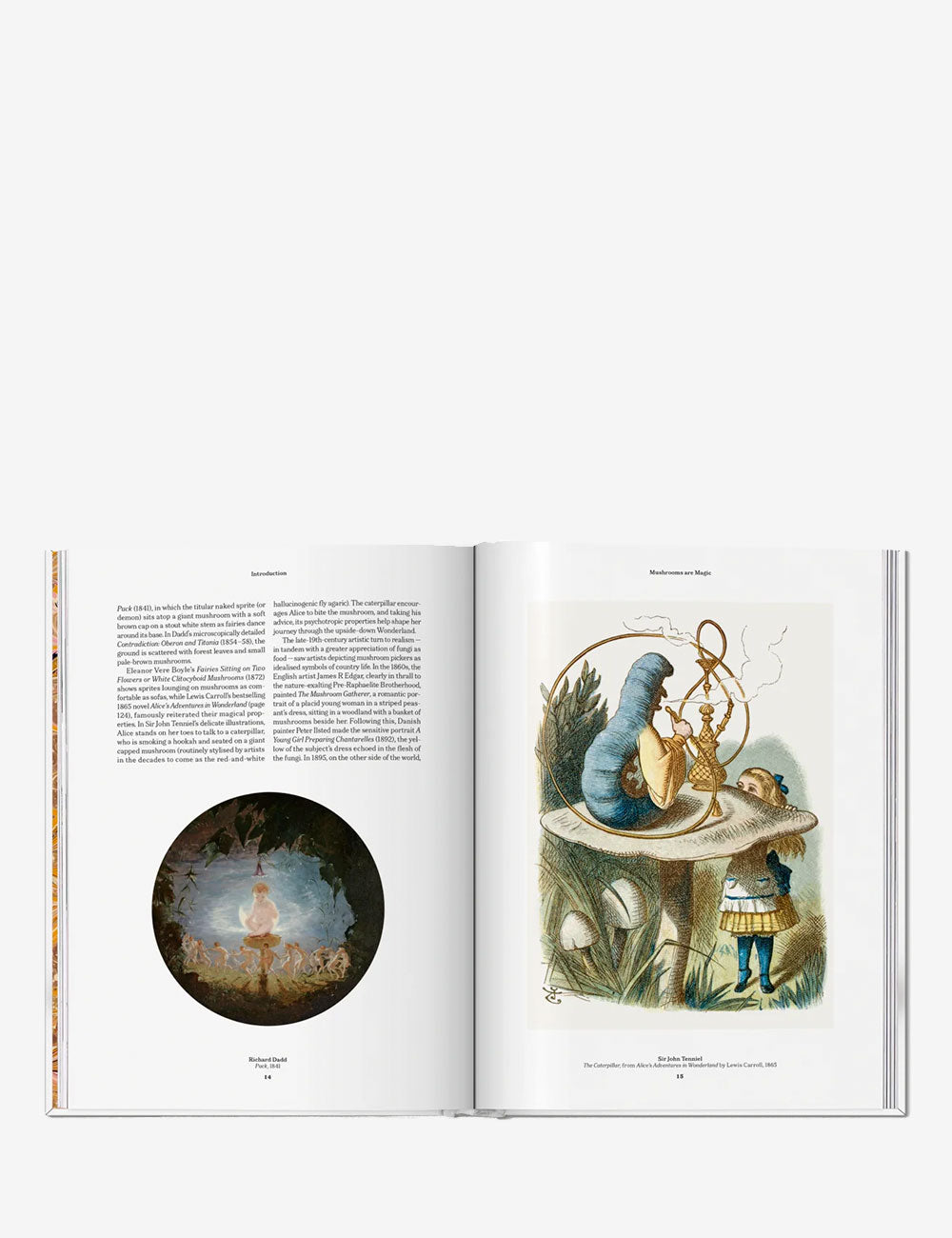 The Gourmand's Mushroom. A Collection of Stories and Recipes